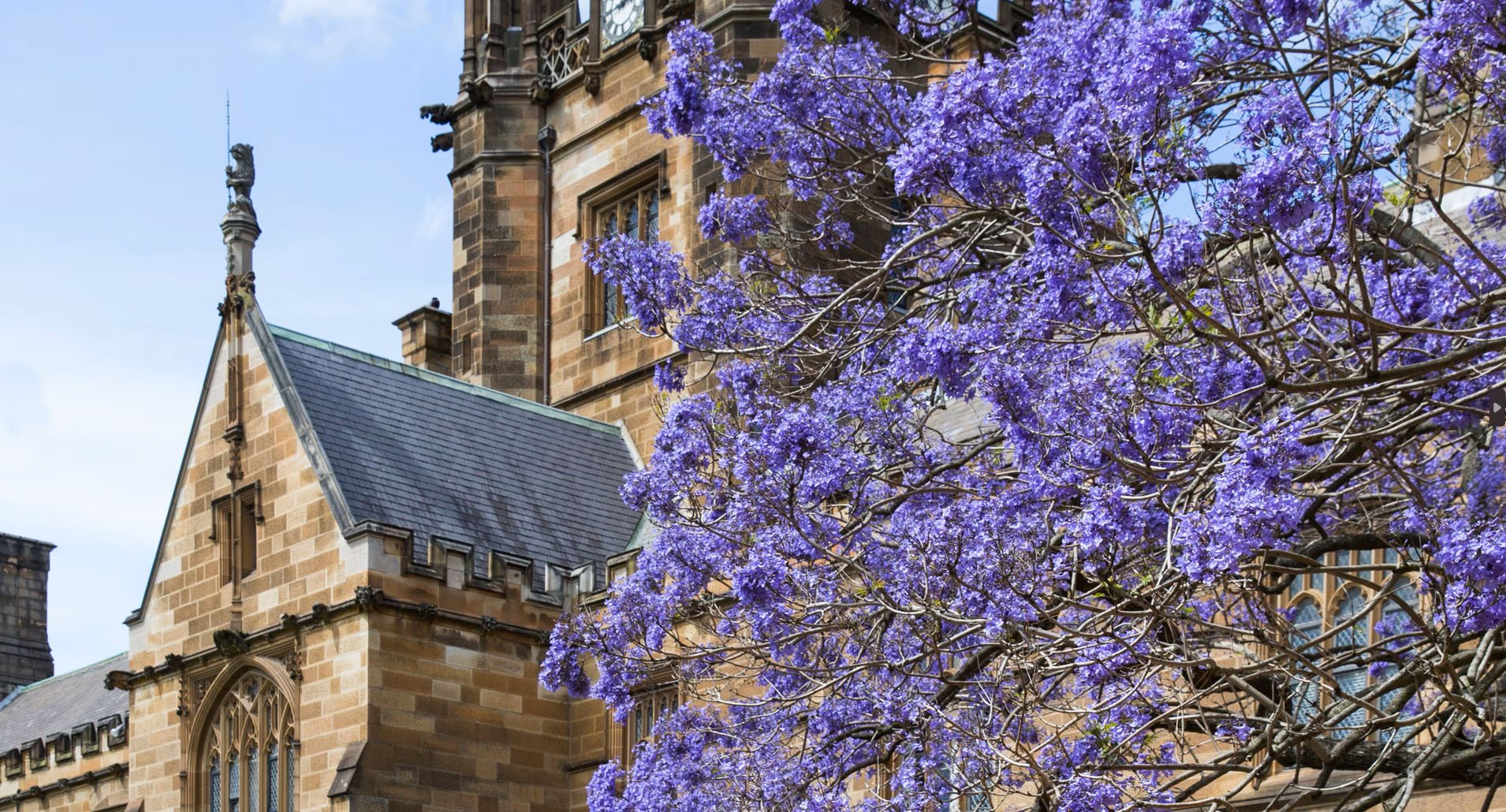 University of Sydney Image_2 LOW RES
